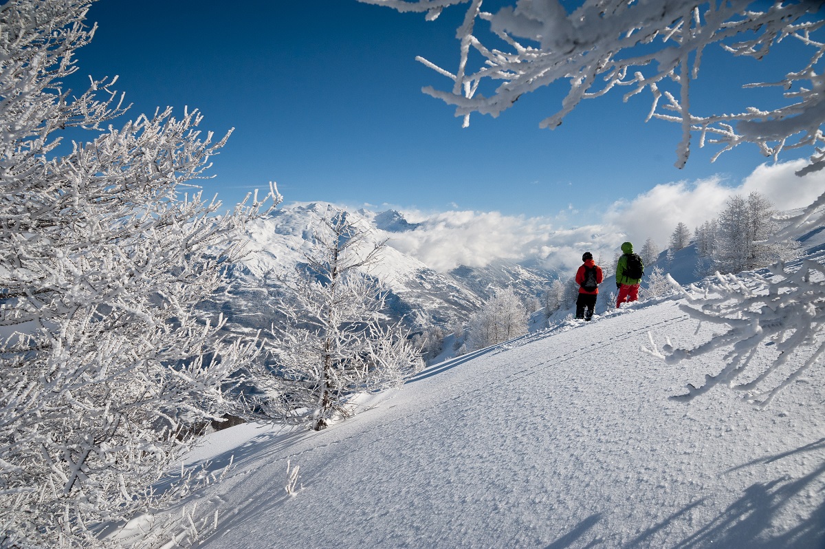 Offerta del sabato a 20 €